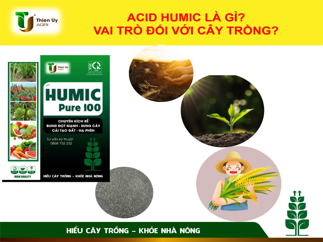 VAI TRÒ CỦA ACID HUMIC VỚI CÂY TRỒNG?