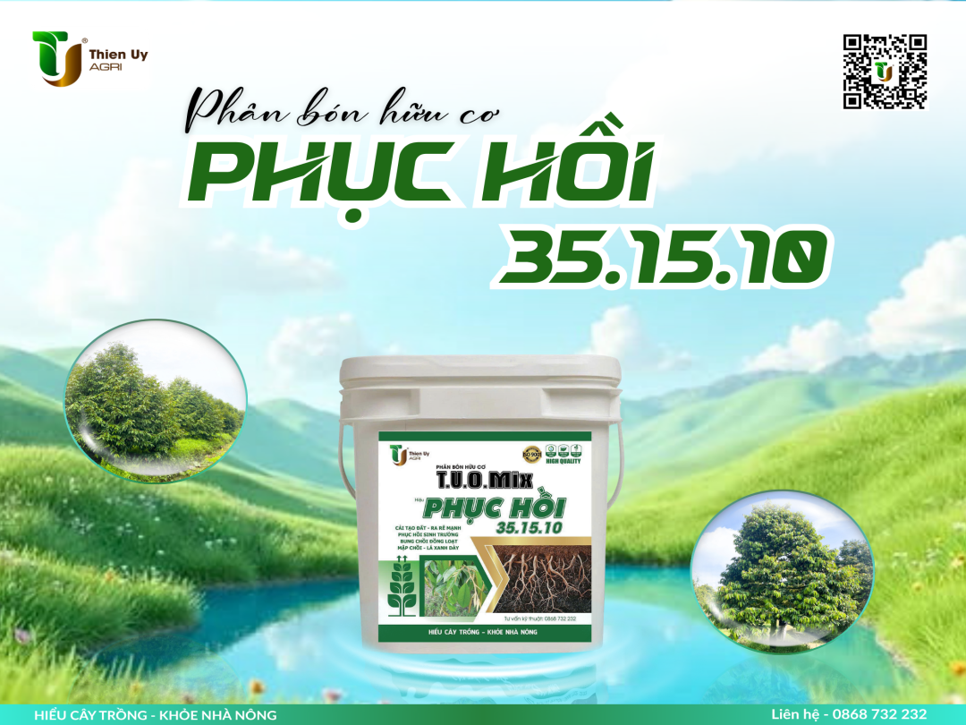 GIẢI PHÁP PHỤC HỒI SẦU RIÊNG SAU THU HOẠCH
