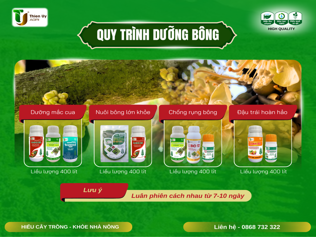QUY TRÌNH DƯỠNG BÔNG