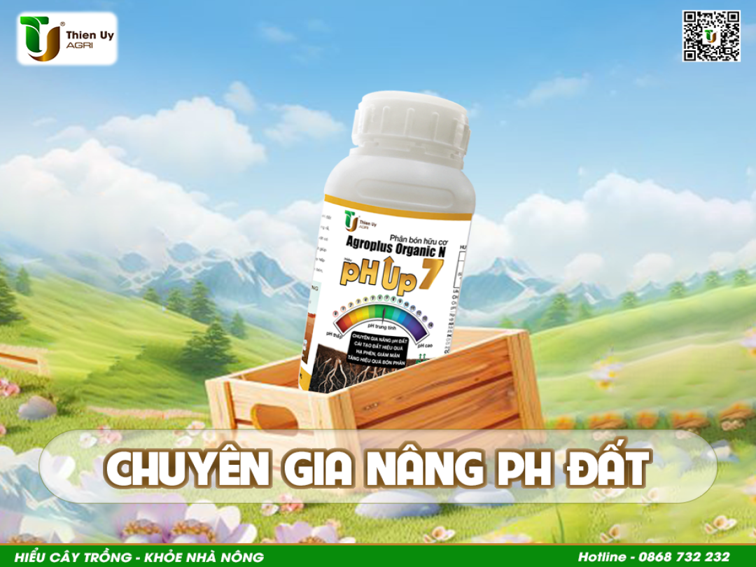 pH THẤP ẢNH HƯỞNG ĐẾN BỘ RỄ SẦU RIÊNG NHƯ THẾ NÀO ?