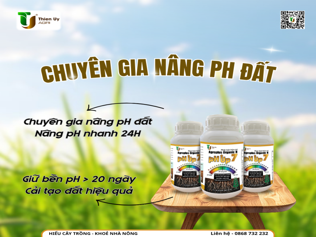 KHI NÀO CẦN NÂNG pH ĐẤT SAU THU HOẠCH?