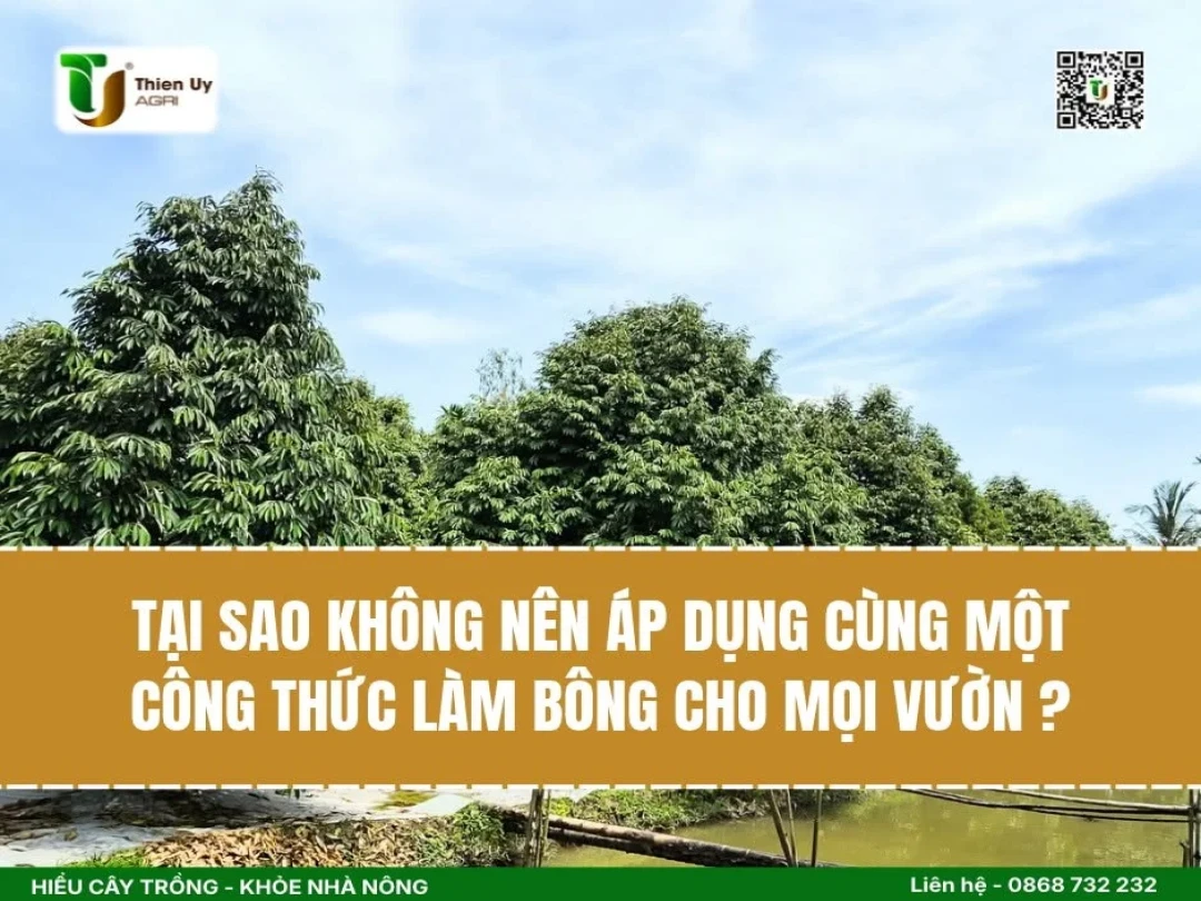 TẠI SAO KHÔNG NÊN ÁP DỤNG CÙNG MỘT CÔNG THỨC LÀM BÔNG CHO MỌI VƯỜN ?